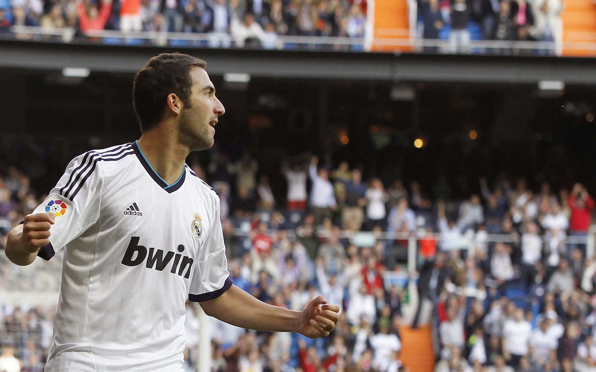 勒沃库森签下荷兰射手，德甲劲旅加强，勒沃库森vs年轻人