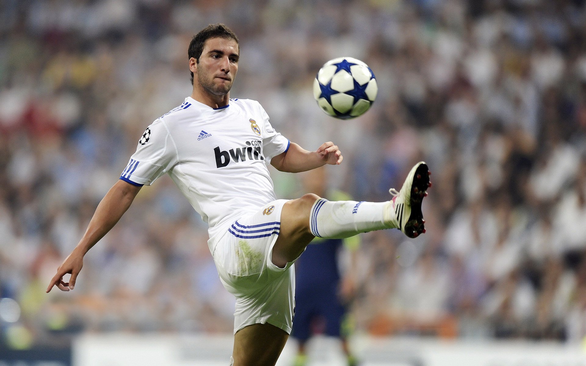 图卢兹士气高昂，备战巴黎明日激战期间，图卢兹tse